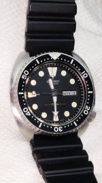 6309-7049_sm.jpg