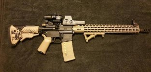 M&P 15x Mod 2.jpg