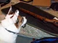 dixie looks at the mauser.jpg