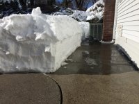 IMG_0768.jpg