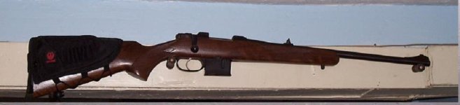 CZ with pouch.jpg
