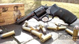 CharterArms44Bulldog (2).jpg