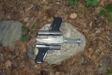 27892pspbuck.JPG