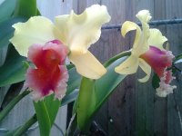 20120918_183943.jpg