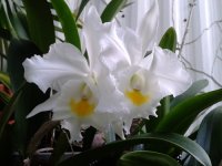 20130621_072608.jpg