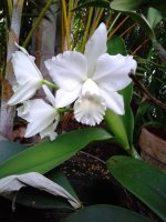 20130621_072700.jpg