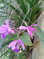 20140318_174702.jpg
