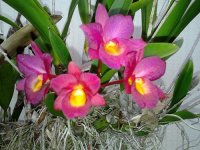 20160220_170626.jpg