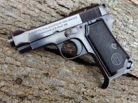 stag grips-beretta AA serial number-Fem holster & mag 037.jpg