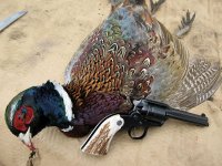 pheasant.jpg