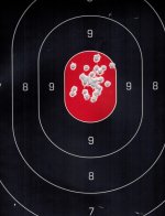 Ruger 10 22.jpg