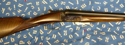 shotgun1.jpg