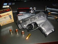 Bodyguard 380.JPG