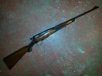 BSA Lee (2).jpg