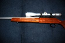 Gun1.JPG