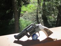 IMG_0017.JPG