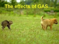 Gas.jpg