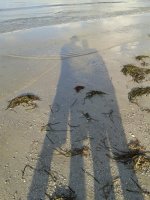 20160613_075145 - Copy.jpg