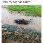 85053689.jpg
