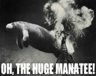 manatee26js_small.jpg