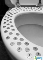 crazytoiletseat-79d.jpg