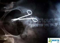 interestingscissorspicture-7d6.jpg