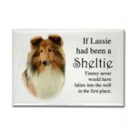 LassieSheltie.jpg