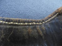 DSCF4846.jpg