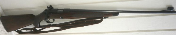P3100020.jpg