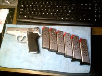 3913 w 6 Mags.jpg