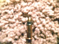 ammo.jpg