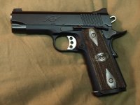 kimber2.jpg
