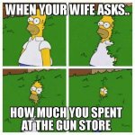 MoneySpentGunStore.jpg