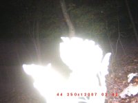 ghost pictures 004.jpg
