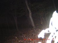 ghost pictures 001.jpg