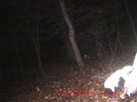 ghost pictures 007.jpg
