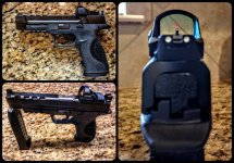 SW MP (1).jpg