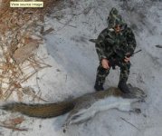 Squirrel vs GI Joe.jpg