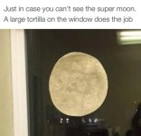 moon.jpg