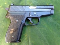 sig228.jpg