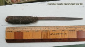 shank3.jpg