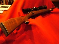 remington700 001.JPG