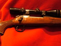 remington700 003.JPG