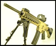FDE_1.jpg