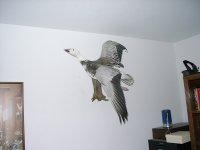 Blue Goose.jpg