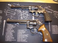 Pair.jpg