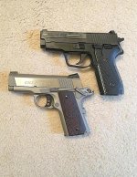 sigcolt.jpg