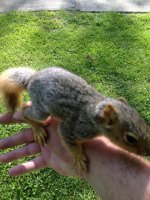 IMG_1909.jpg