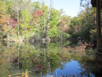 pond image a.jpg