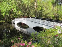 Magnolia Plantation 04-2011 (119).jpg